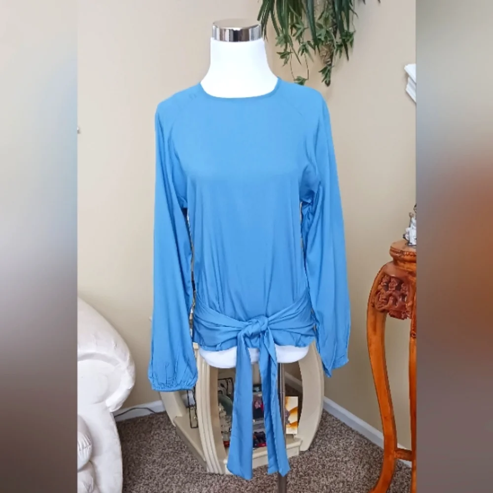 Citrus Apparel Blue Balloon Sleeve Blouse Medium NWT - Picture 1 of 15